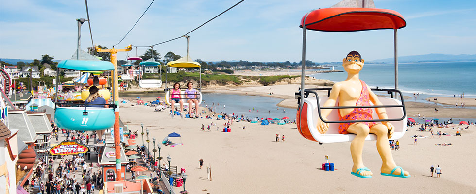 Sky Glider Over The Beach